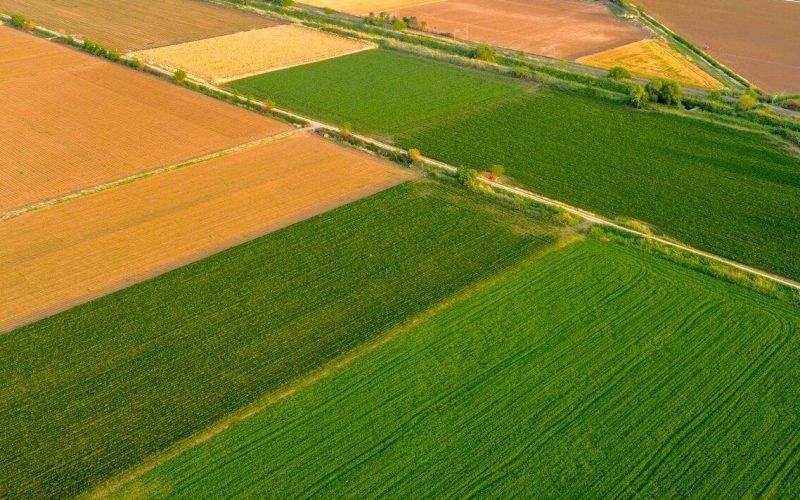 põllumaa 10